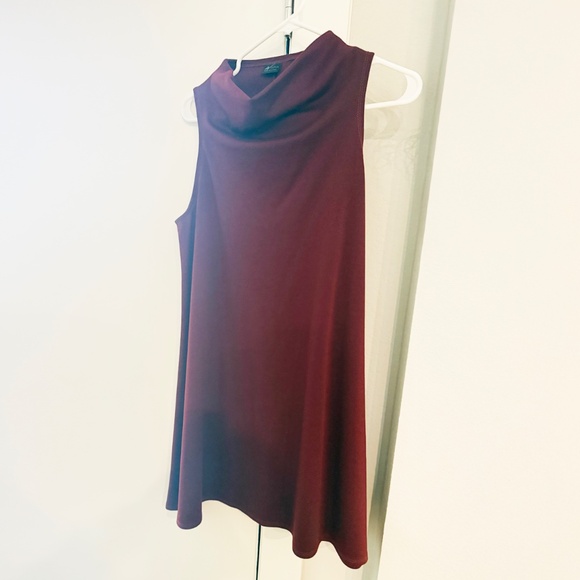 Wulfka Chicago Dress, Tent-style, Cowl Neck, Worn Once. Size S - Picture 1 of 8